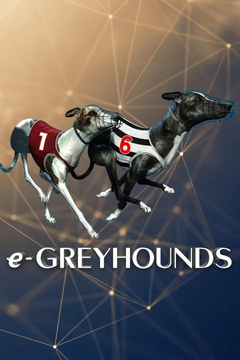 greyhound