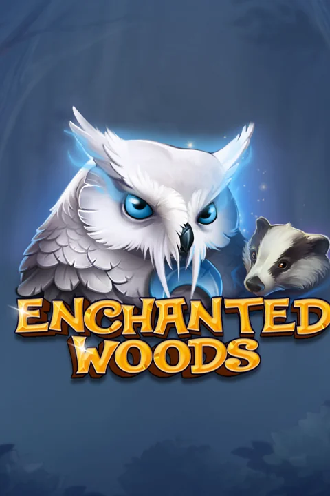 Enchanted Woods