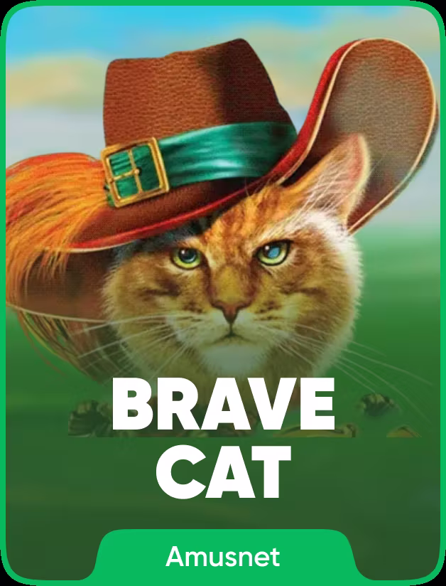 Brave Cat