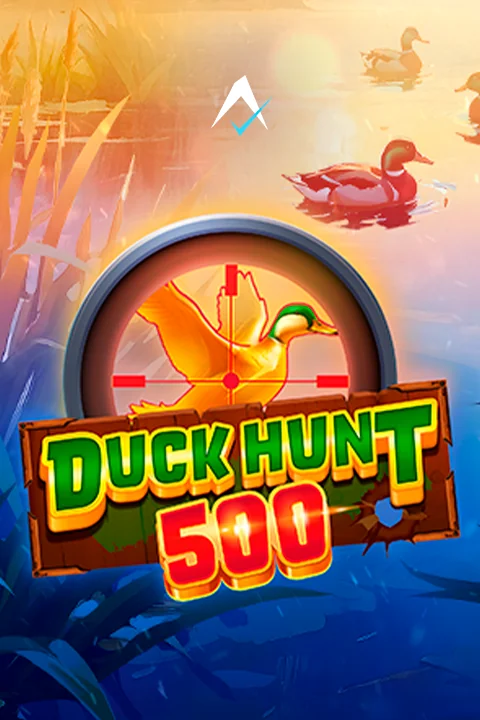 Duck Hunt 500