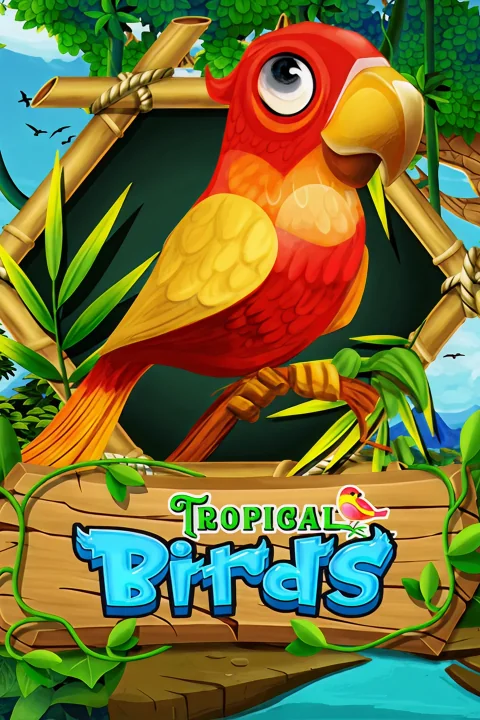 Tropical Birds