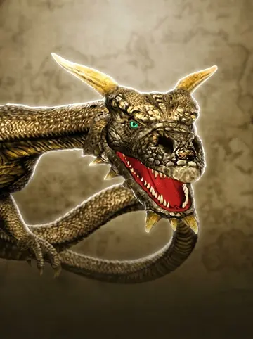 Dragons Treasure