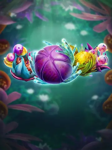 Fruitoids
