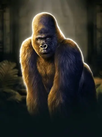 Kongs Temple