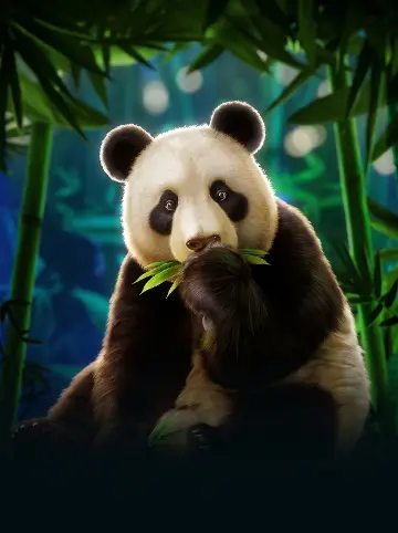 Panda's Fortune