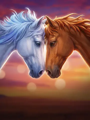 Happy Hooves
