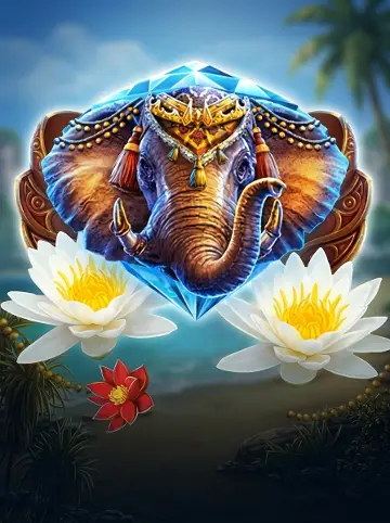 Elephant Splash