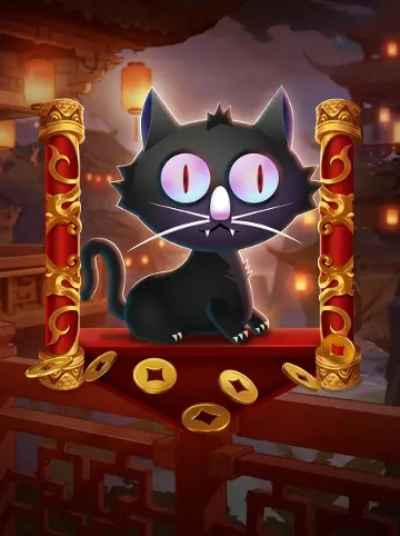 White Nose Cat