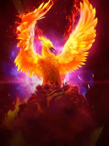 Phoenix Rises