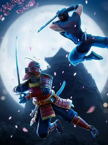 Ninja vs Samurai