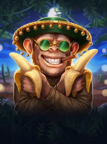 Punky Monkey