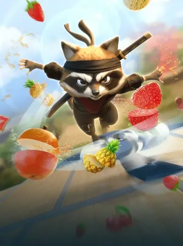 Ninja Raccoon Frenzy