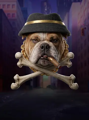 The Big Dawgs