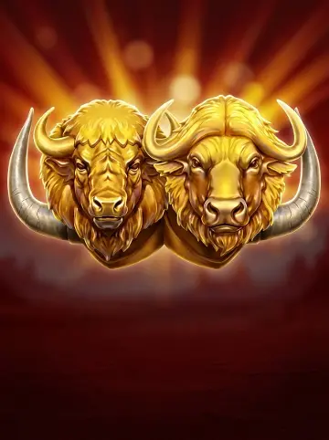 Bison vs Buffalo