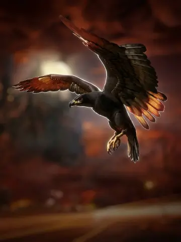 Black Hawk Deluxe