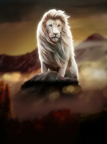 White King