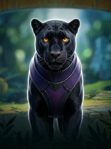 Panther Pays