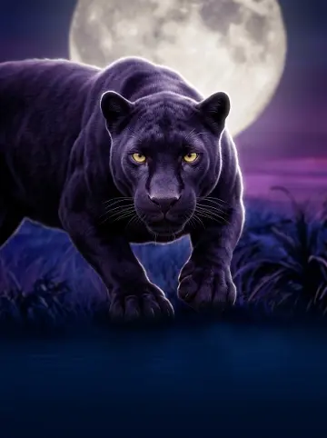 Panther Moon