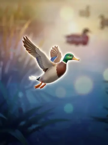 Duck Hunt 500