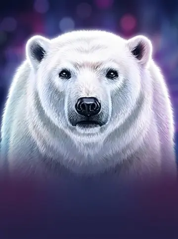 Majestic Winter - Polar Adventures