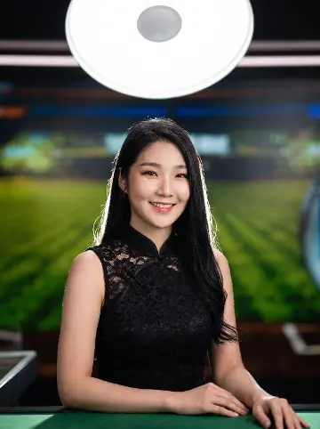Korean Dealer Baseball Studio