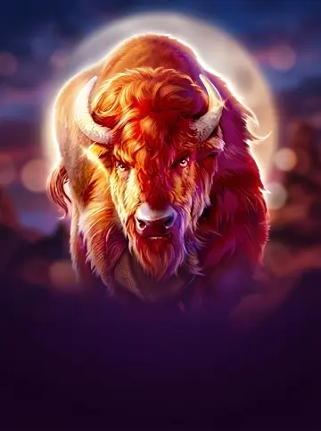 Majestic Wild Buffalo - Dusk Till Dawn