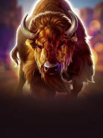 1 Reel - Majestic Wild Buffalo