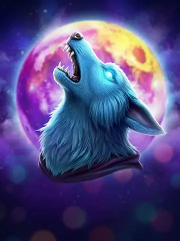 Midnight Pack